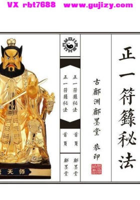 《正一符箓秘法》正一符箓秘诀💰5