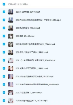 玄通大师班原神疗愈18集视频课💰5