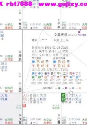 随理行者萧师兄紫微斗数全能综合飞星课程➕定盘及命财事飞星逻辑课程！共两套视频课