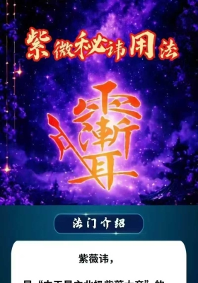 静知《紫微秘讳用法汇集》课件资料💰5