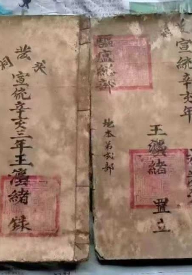 《驱瘟总部》地本仁本 王灋绪秘传💰6