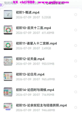 子辰《七政四余》四套完整教学视频💰8