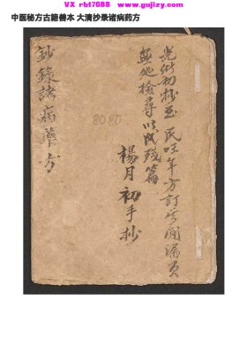 《大清抄录诸病药方》清代梅和之手抄💰5