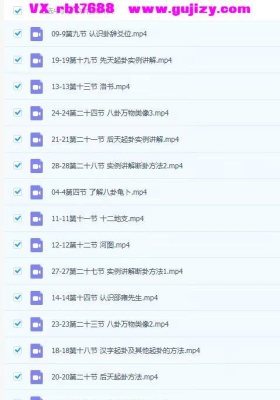 如是禅说梅花易数 30集视频课💰5