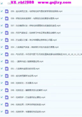 知易而行 梁老师 吐纳实修答疑 视频 78集💰5