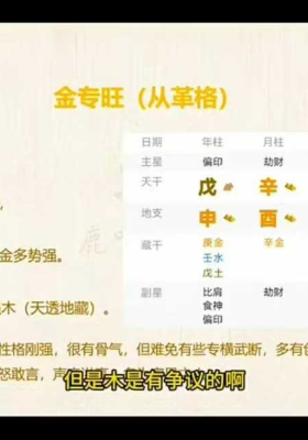 鹿鸣国学《四柱八字》系统讲解③套 鹿鸣国学八字实战训练营-【99节】 💰5