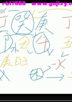 酉叔八字传承弟子线下班 39集视频课，实战案例讲解为主💰5