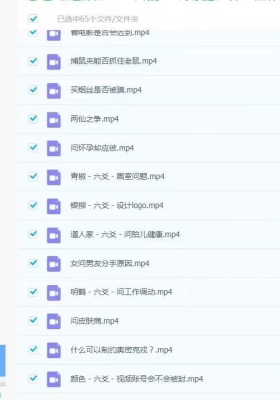 《木子论易 庄卜六爻案例解析》65集视频合集￥5