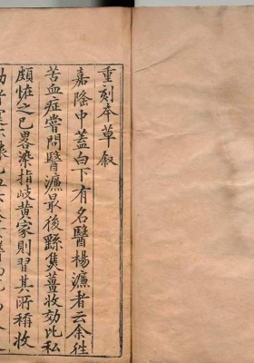 《重刊经史证类大全本草 》💰5