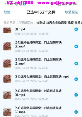 许联斌 益风会员微课堂 视频 音频文件153节💰5