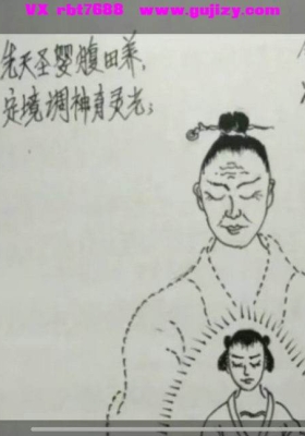 《侠门仙学丹道筑基功》五集视频课💰5