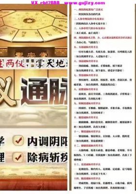 曹氏两仪通脉术（视频课程）💰5