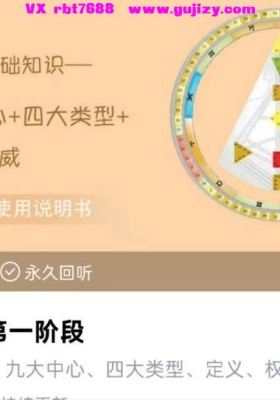 【人类图】人类图解读师成长乐园  宣宣老师 人类图第一阶段➕第二阶段➕第三阶段💰8