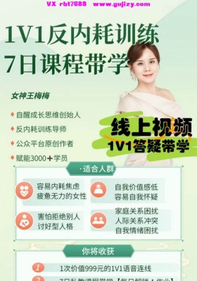 【反内耗】反内耗系统训练课程平台～反内耗系统全课➕反内耗训练课程！共两套视频课！