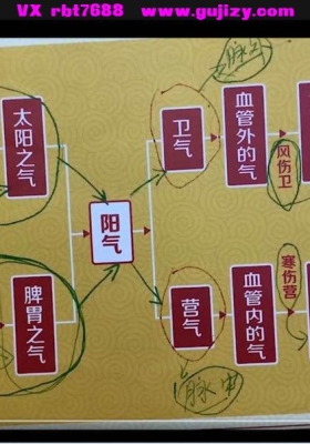 火神门扶阳课程 跟我学扶阳（共21节课）💰5
