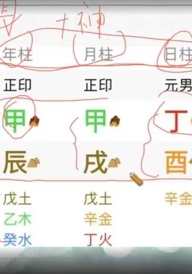 马群总裁班《四柱八字课程》视频7集约13小时💰5