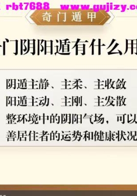 李易玲《奇门遁甲系统课》39集视频课💰5