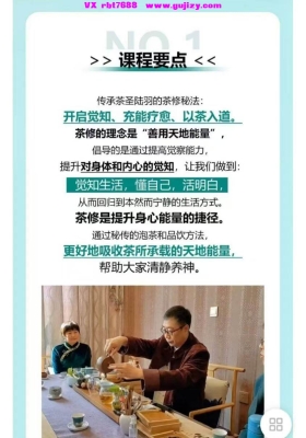 茶修疗愈 视频课一举解决8大问题 充能疗愈 以茶入道 排毒祛病 调节情绪 放松身体💰5