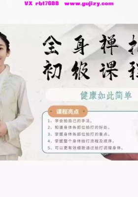 【禅拍课程】全身禅拍初级课程27集视频课💰5