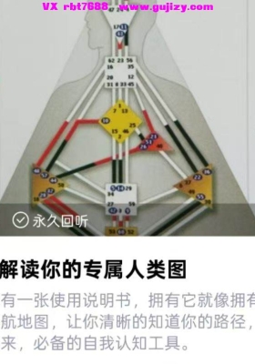 【人类图】个案：解读你的专属人类图💰5