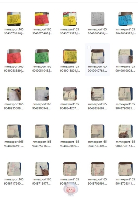 六神术  价值 5800 实用法术💰5