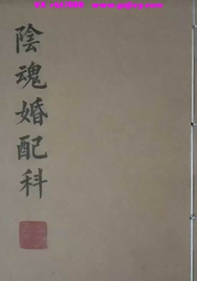 《阴魂婚配科》💰5