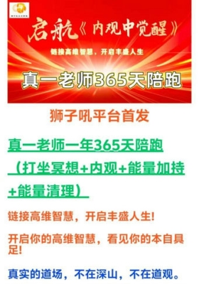 【高维】《内观中觉醒》课程视频合集💰5