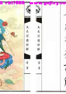 《太岁符箓详解》化太岁符箓详解 全新排版 上下两册全💰5