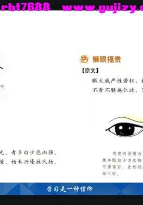 宗越老师风水相法视频五集💰5