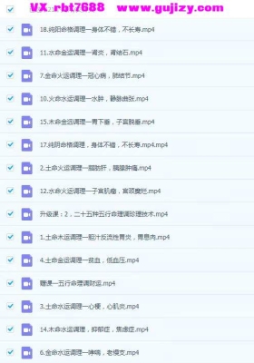 【道医】道医辅阳通肺术21集视频课💰5