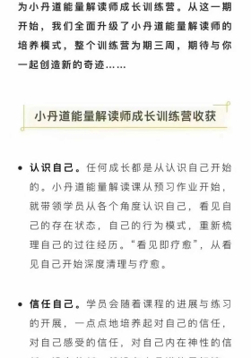 流静--小丹道能量解读课程第四期 12集视频课💰5