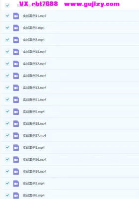 张彪盲派祖传秘诀，准确率高，最系统的盲派八字命理课程五期视频合集💰5