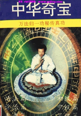 《中华奇宝：万法归一功》张小平💰5