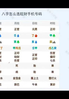 易朴山斌《四柱八字教学视频》8节系统课💰5