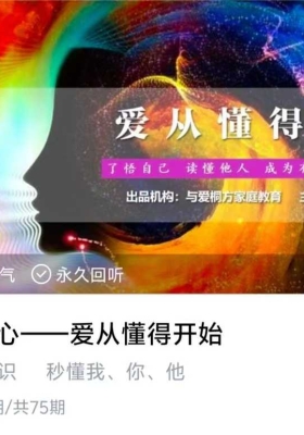 数字读心——爱从懂得开始70集音频💰5