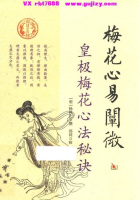 《梅花心易阐微：皇极梅花心法秘诀》💰5