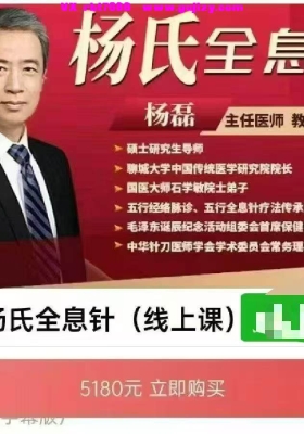 杨磊-杨氏全息针  线上课+弟子内部答疑会26集💰5