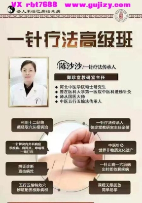 一针疗法高级班（视频课程）63集视频💰5