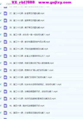 家宅风水化解旺运100集视频课💰5