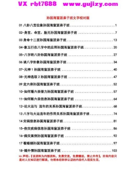 孙国海盲派弟子班文字校对版（注意：文字版💰5