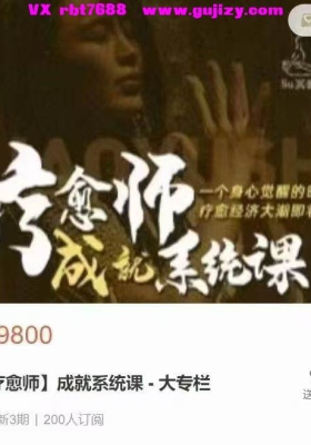 苏沅成就系统课大专栏视频合集！心灵导师升级版！一个身心觉醒的时代疗愈经济大潮即将