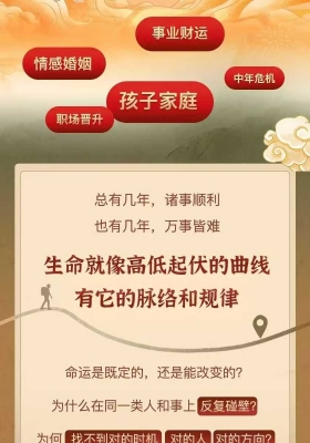 罗镇进阶课～国学智慧人生创造营 56集视频课💰5