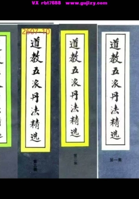 《道教五派丹法精选》全套（一、二、三、四、五集）（部分页面不是很清晰）💰10