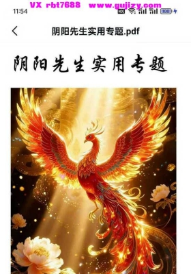 梓渊  阴阳先生实用专题（视频+文档）💰5