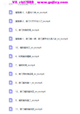 抱猫杨倩雅奇门布局课程视频12集💰5