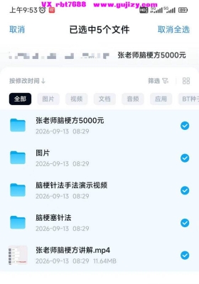 张老师脑梗方价值5000元，视频课件齐全💰5