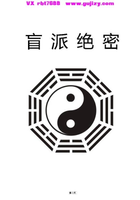 《盲派绝密》打印版 💰8
