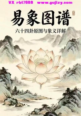 易经书籍《易象图谱》六十四卦原图与象义详解💰5