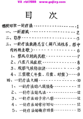 《一针疗法草案》💰5