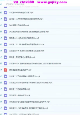 扁鹊意医象‬学 见象改象讨研‬会二期 49集视频课💰5